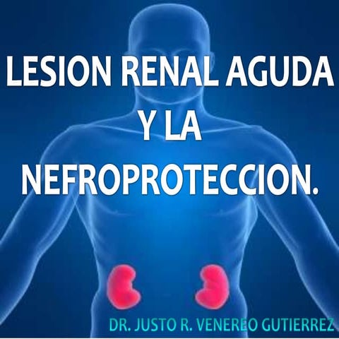 Ira y nefroproteccion
