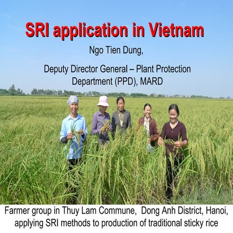 1050 SRI application in Vietnam 