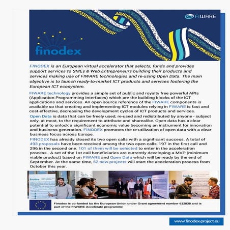 FINODEX summary. Year 1