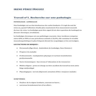 Irene pérez íñiguez_rapport_stages_...