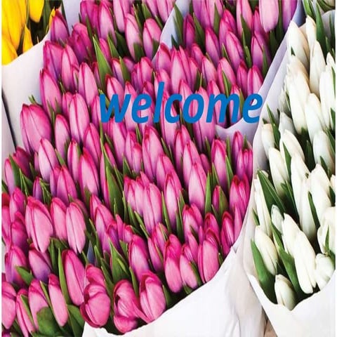 Irga portable photosynthetic system