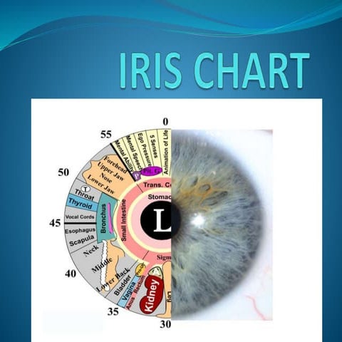 IRIS CHART.pptx iris chart of eyes in human