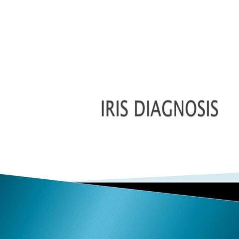 iris diagnosis iridology iris diagnosis.