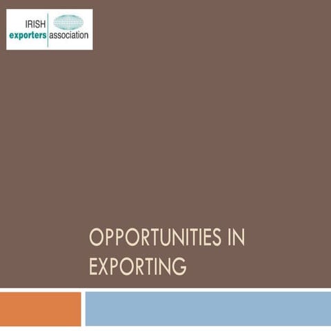 Irish exporters presentation