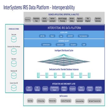 Iris Data Platform Architecture slide 