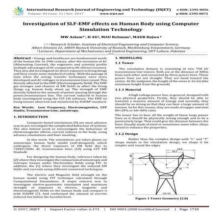 Investigation of SLF-EMF effects on Human Body using Computer Simulation Tech...