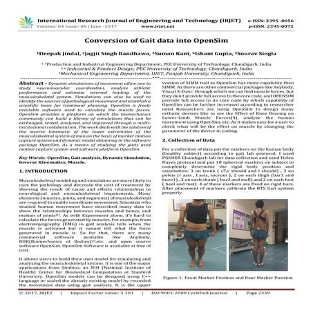 Conversion of Gait data into OpenSim | PDF
