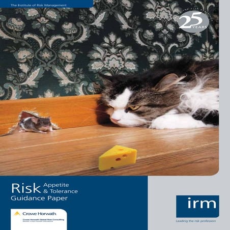 Irm Risk Appetite
