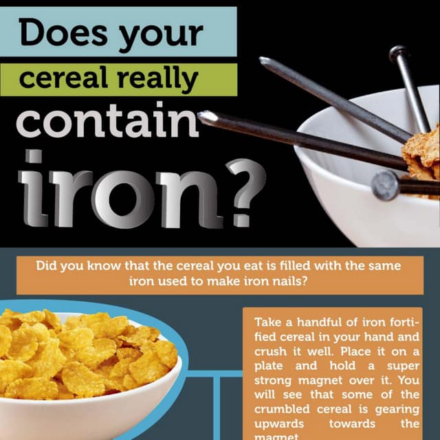 Iron in Cereal Experiments Kids PDF