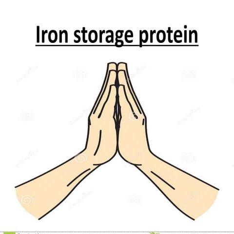 Iron storage protein