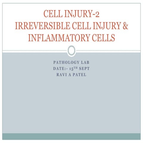 Irreversiblecellinjury 15thseptpatho121 090915142909 Phpapp02