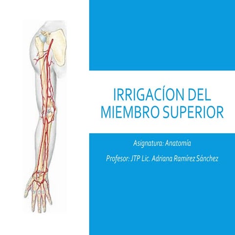 IRRIGACÍON E INERVACÍON DEL MIEMBRO SUPERIOR.pdf