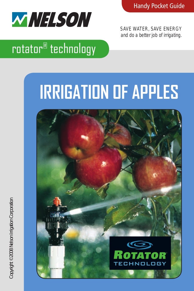 Irrigation of apple