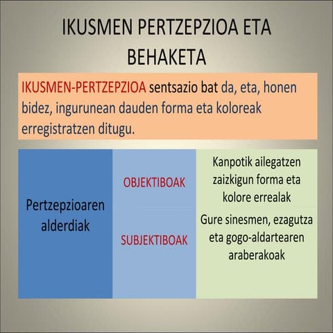 Irudien pertzepzioa eta irakurketa