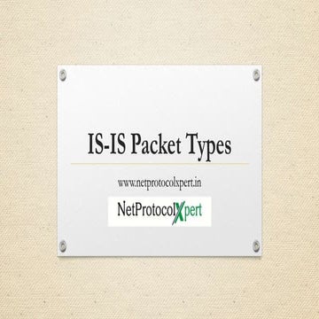 IS-IS Packet Types