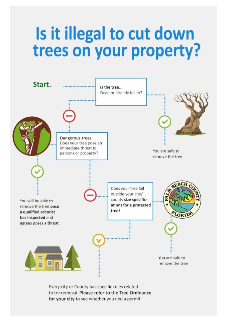Is It illegal to Cut Down a Tree on Your Property