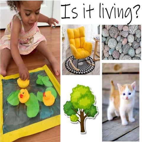 Is it Living Presentation and Quiz with Answers