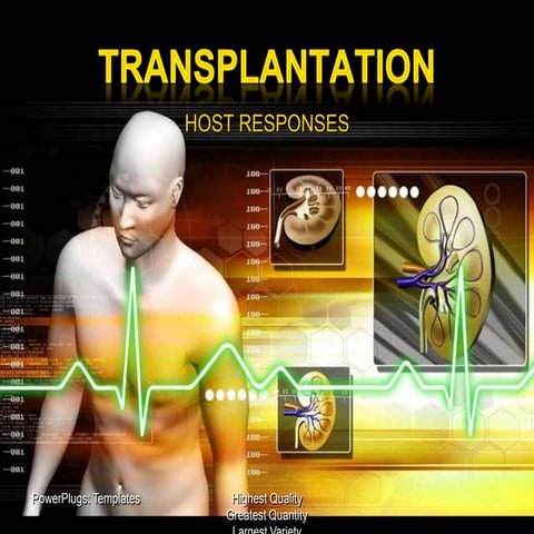 Immunology and Serology  (transplantation reactions)