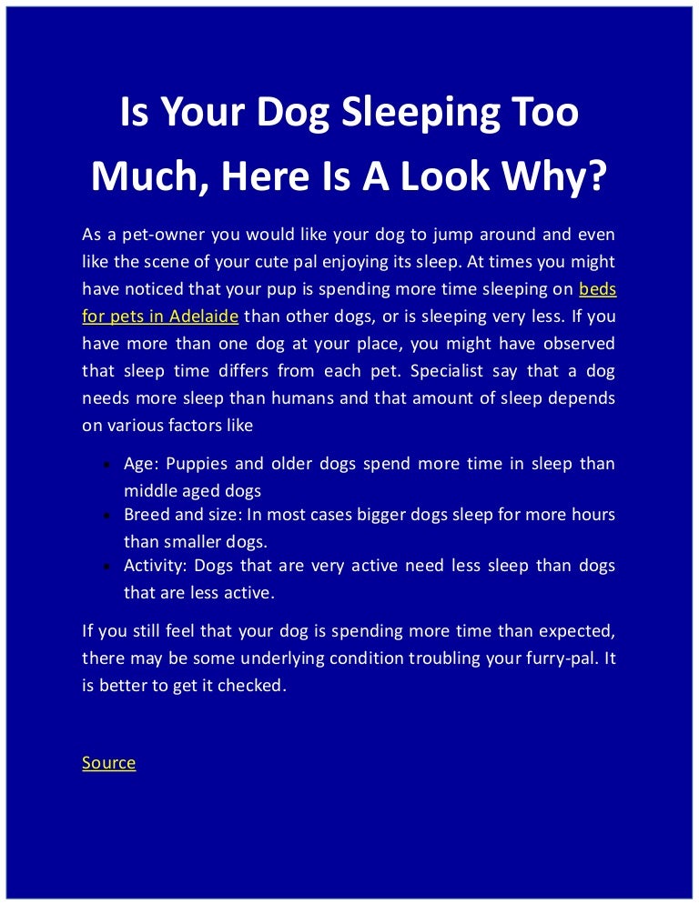 Is Your Dog Sleeping Too Much Here Is A Look Why
