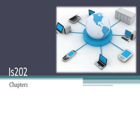 Is202 – workshop 1