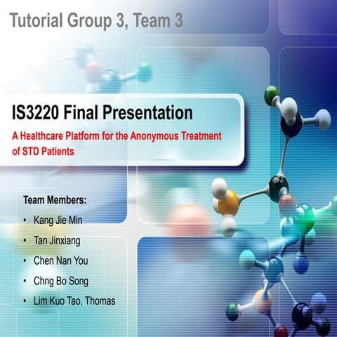 IS3220 Final Presentation