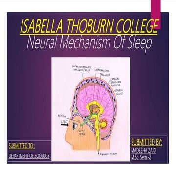 Isabella thoburn college                   neural mechanism of sleep