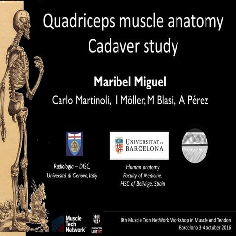 Isabel Miguel: Quadriceps muscle anatomy Cadaver study - PRP