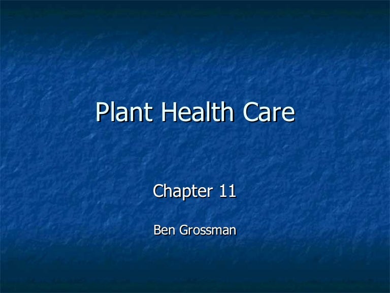 Isa plant health care Isa plant health care