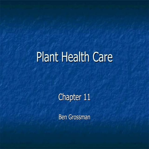 Isa plant health care