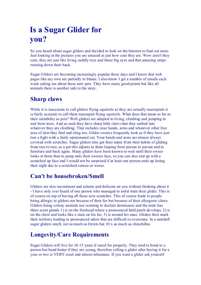 selling sugar gliders