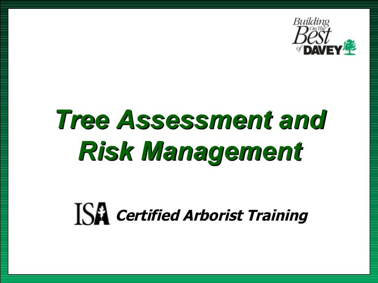 Isa training tree risk assessment & cabling bracing