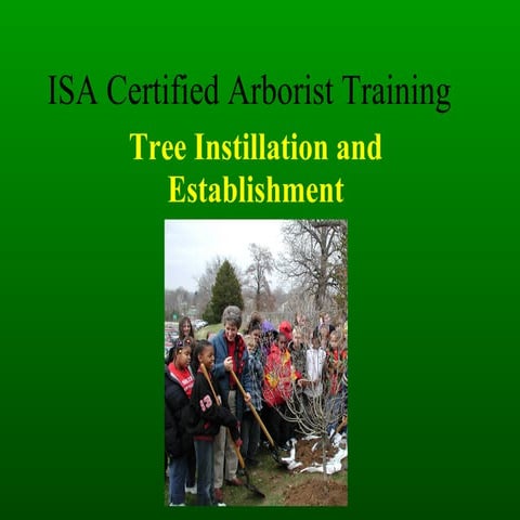Isa tree planting