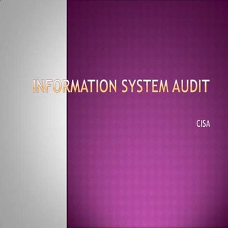 Information System audit