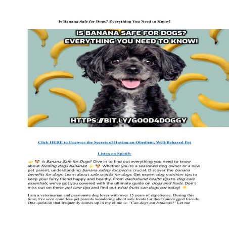 Is Banana Safe for Dogs Everything You Need to Know! .pdf - Dogs And Banana Risk