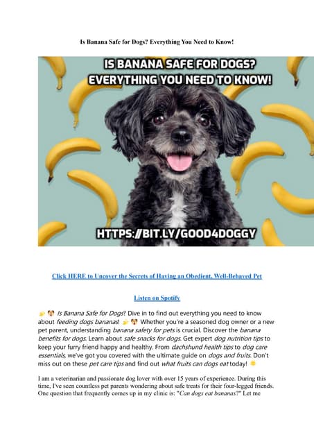 Illustration of Are Bananas Safe For Dogs With Autoimmune Disease