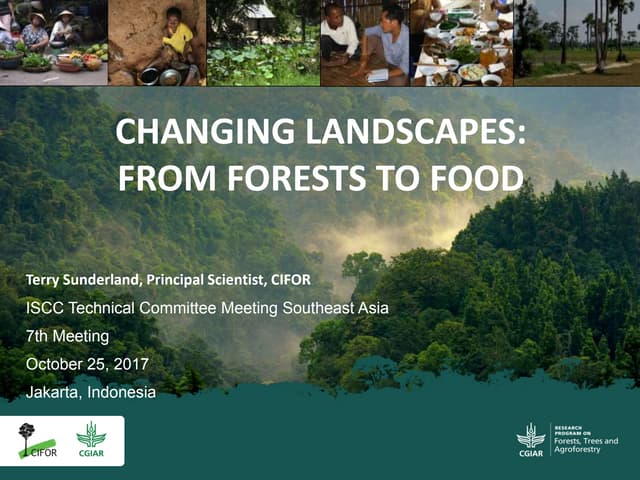 Changing landscapes: From forests to food