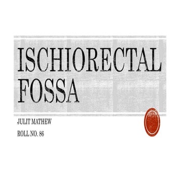Ischiorectal fossa