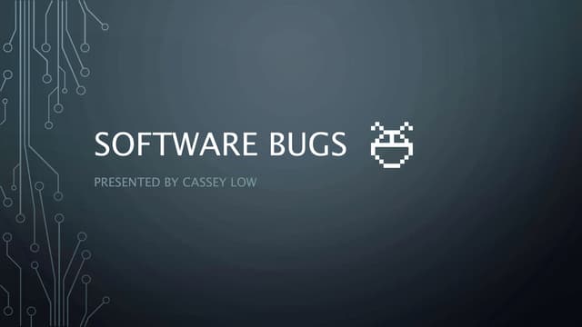Infocomm Security: Software Bugs