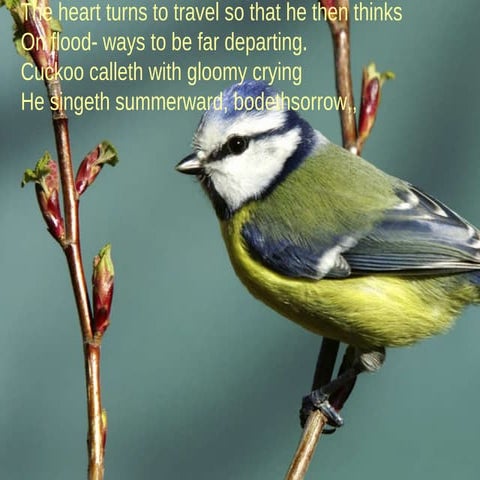 Isfd41 lyc-ana-the seafarer