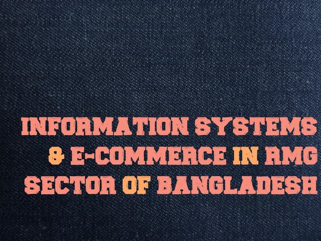Information System in RMG