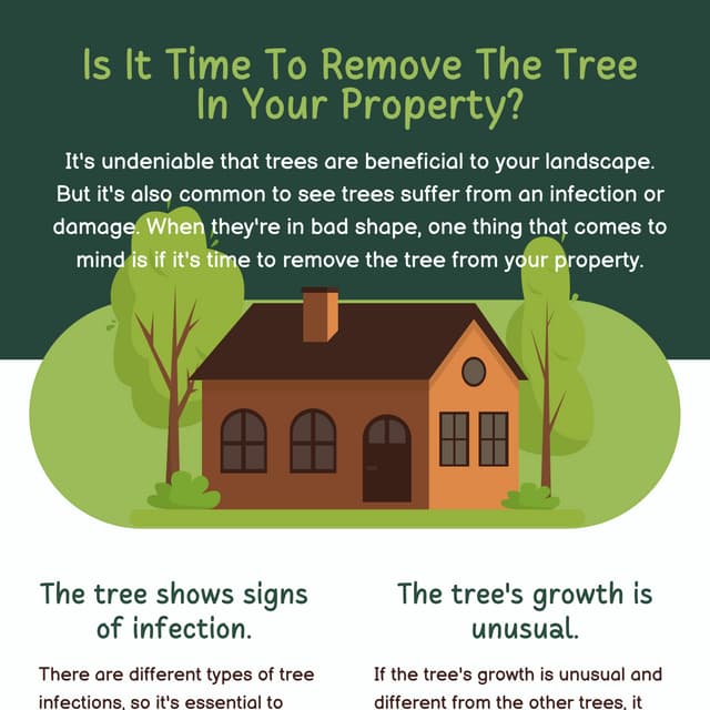 Everything You Need to Know About Tree Surveys.pdf