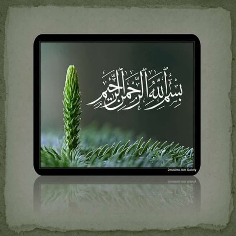 Misconception about Islam