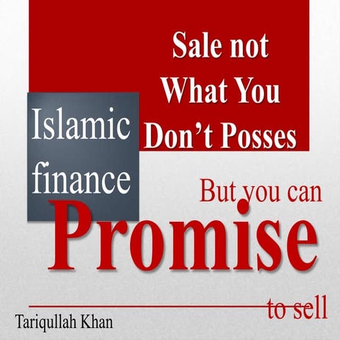 Islamic finance-promise