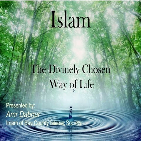 Islam the divinely chosen way of life lecture 2 encore by amr dabour jan 2013