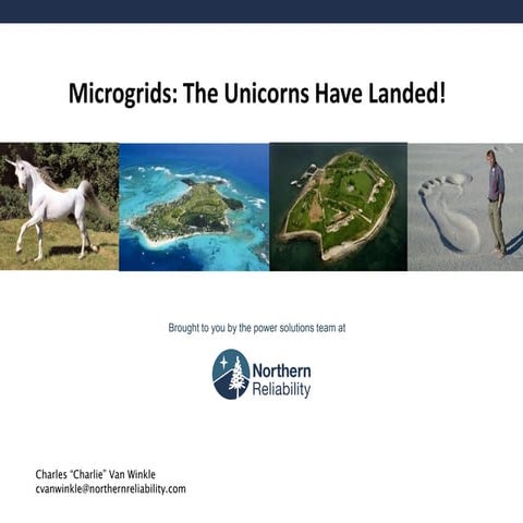 Island Energy Conference 2014 - Microgrids