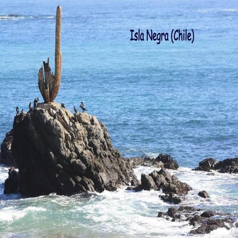 Isla negra. neruda