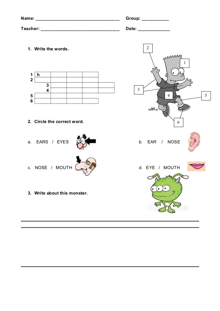 Schede Didattiche Parti Del Corpo In Inglese Pdf