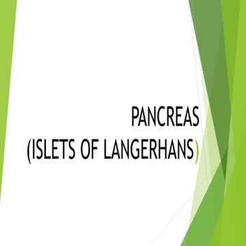 Islets of langerhans