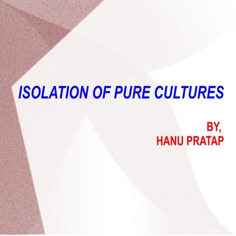 Isolation of Pure culture