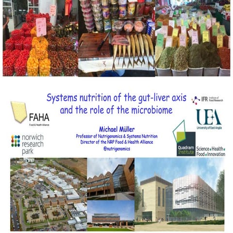 Systems Nutrition of the Gut-Liver Axis and the Role of the Microbiome